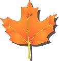 Maple Leaf