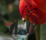 MinimumCompositing
