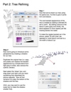 3 : Tree_Refining